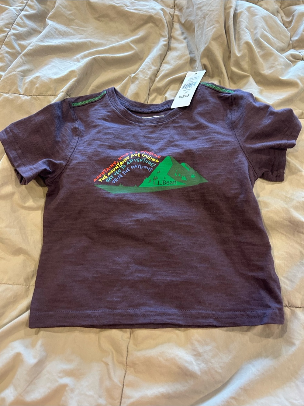 L.L. Bean Kids Plum Tee with Green Mountain Graphic